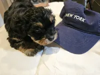 processed/05a7c1d7-d927-4018-b4c6-707fabe9e57c/listing/3055b9d1-f8c6-4cac-96e0-46187b3bfc4d/d5b94ba9-1079-4e68-8e43-270a47e628a1