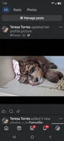Janee F1B tea cup size , a female Cavapoo and Poodle - Toy  for sale in Garyville, LA – 1 of 4