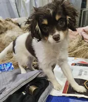 processed/05a7c1d7-d927-4018-b4c6-707fabe9e57c/listing/6d61d544-f2b0-46da-81fa-f557b5c1be39/6e9d59d1-8476-4e9d-9315-8bd8ada751ab