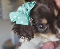 processed/05a7c1d7-d927-4018-b4c6-707fabe9e57c/listing/6d61d544-f2b0-46da-81fa-f557b5c1be39/83b4c1b0-c84f-42a2-ab2d-83569e82d0b4