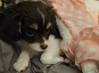 processed/05a7c1d7-d927-4018-b4c6-707fabe9e57c/listing/6d61d544-f2b0-46da-81fa-f557b5c1be39/8d5dcb13-4254-48e3-9498-c7529c876507