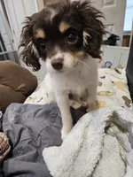 processed/05a7c1d7-d927-4018-b4c6-707fabe9e57c/listing/6d61d544-f2b0-46da-81fa-f557b5c1be39/a3d73e4b-a676-4042-ac2c-890e12d41553