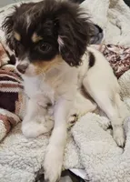 processed/05a7c1d7-d927-4018-b4c6-707fabe9e57c/listing/6d61d544-f2b0-46da-81fa-f557b5c1be39/e9c9d0db-e3e0-4fd8-815d-bc8c198cc0bc