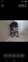 JOURNIE  F1B, a female Cavapoo and Poodle - Toy  for sale in Garyville, LA – 5 of 9