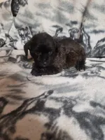 processed/05bf5c96-dcde-4bed-8180-ea80867f7f4b/listing/0f995d07-0f66-418e-8968-db75273cfe8a/0ac5959d-6835-432a-a37f-84e0f0844a5b