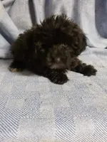 processed/05bf5c96-dcde-4bed-8180-ea80867f7f4b/listing/0f995d07-0f66-418e-8968-db75273cfe8a/50d67e98-af0f-4214-a764-d1456daf3cd5