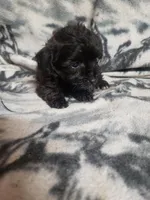 processed/05bf5c96-dcde-4bed-8180-ea80867f7f4b/listing/0f995d07-0f66-418e-8968-db75273cfe8a/6ea94ea1-58e7-4f3b-acb9-c38c717d661c