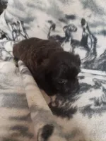 processed/05bf5c96-dcde-4bed-8180-ea80867f7f4b/listing/0f995d07-0f66-418e-8968-db75273cfe8a/736f0d65-43f3-4c5a-a2bc-3678380456de