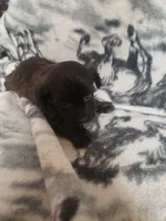 processed/05bf5c96-dcde-4bed-8180-ea80867f7f4b/listing/0f995d07-0f66-418e-8968-db75273cfe8a/745e61bc-03a7-4c97-8c3d-c11c4010d0aa