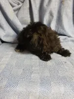 processed/05bf5c96-dcde-4bed-8180-ea80867f7f4b/listing/0f995d07-0f66-418e-8968-db75273cfe8a/8799ccf8-a4cf-491c-ae35-5885582326b6