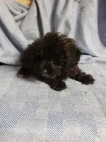 processed/05bf5c96-dcde-4bed-8180-ea80867f7f4b/listing/0f995d07-0f66-418e-8968-db75273cfe8a/db0c66c9-826c-4f4a-840c-dfe7a8c03ac2