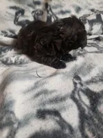 processed/05bf5c96-dcde-4bed-8180-ea80867f7f4b/listing/0f995d07-0f66-418e-8968-db75273cfe8a/fc292cc5-dfbc-4d41-93c4-390d6089c15e