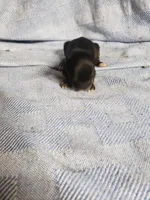 processed/05bf5c96-dcde-4bed-8180-ea80867f7f4b/listing/2a2fe4ab-49ce-496c-bb74-d50c8a62d87e/393e7ac9-1ddc-42d2-b001-cca738ae5854