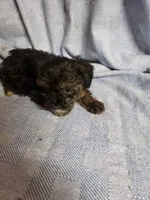 processed/05bf5c96-dcde-4bed-8180-ea80867f7f4b/listing/2a2fe4ab-49ce-496c-bb74-d50c8a62d87e/6406656a-dea4-4711-a99f-78a89162511a