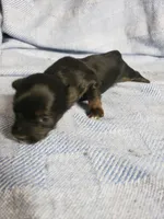 processed/05bf5c96-dcde-4bed-8180-ea80867f7f4b/listing/2a2fe4ab-49ce-496c-bb74-d50c8a62d87e/6c7f7e69-c31f-40e1-a8ca-d8da7388ee29