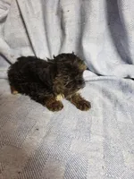 processed/05bf5c96-dcde-4bed-8180-ea80867f7f4b/listing/2a2fe4ab-49ce-496c-bb74-d50c8a62d87e/c204462f-f5df-4325-9850-ad3625b09de2