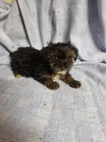 processed/05bf5c96-dcde-4bed-8180-ea80867f7f4b/listing/2a2fe4ab-49ce-496c-bb74-d50c8a62d87e/c672e02c-bfcf-4a29-929b-cb9fa58a6a34