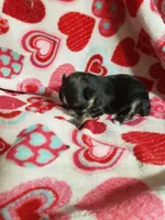 processed/05bf5c96-dcde-4bed-8180-ea80867f7f4b/listing/394a64d1-1cc7-4b40-bc8f-c731910bbdc0/01cc8387-9eec-4696-88e0-27fd00524455