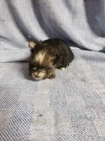 processed/05bf5c96-dcde-4bed-8180-ea80867f7f4b/listing/394a64d1-1cc7-4b40-bc8f-c731910bbdc0/daa021ef-847b-42c3-9a7a-fc33e055a366