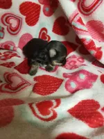 processed/05bf5c96-dcde-4bed-8180-ea80867f7f4b/listing/394a64d1-1cc7-4b40-bc8f-c731910bbdc0/dcb9dbf9-1112-4364-82d6-7e1da6d5f288