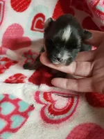 processed/05bf5c96-dcde-4bed-8180-ea80867f7f4b/listing/394a64d1-1cc7-4b40-bc8f-c731910bbdc0/fc9489bc-7d21-4ec4-91aa-b19f63f8523d