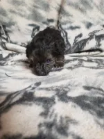 processed/05bf5c96-dcde-4bed-8180-ea80867f7f4b/listing/433bb340-1b1c-4c5a-8e4e-11d2d201ba30/065a6f56-0058-4d1d-a5df-013325a6a773