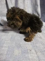 processed/05bf5c96-dcde-4bed-8180-ea80867f7f4b/listing/433bb340-1b1c-4c5a-8e4e-11d2d201ba30/0fe894cf-bd23-4b66-bd06-c9410a0e7dbf