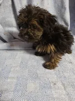 processed/05bf5c96-dcde-4bed-8180-ea80867f7f4b/listing/433bb340-1b1c-4c5a-8e4e-11d2d201ba30/b863a369-21d5-435c-8604-56844144c2cf