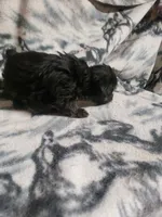 processed/05bf5c96-dcde-4bed-8180-ea80867f7f4b/listing/433bb340-1b1c-4c5a-8e4e-11d2d201ba30/e249eef4-a2af-4e4c-a461-50ae9eaf4b50