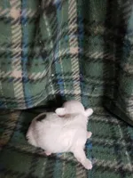 processed/05bf5c96-dcde-4bed-8180-ea80867f7f4b/listing/8d2f3429-991a-4b08-b538-9d636dc32fab/38446591-376b-4eac-9337-62fadf831bab