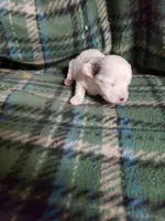 processed/05bf5c96-dcde-4bed-8180-ea80867f7f4b/listing/8d2f3429-991a-4b08-b538-9d636dc32fab/550e6a9a-3720-441b-b012-998dec71fe26