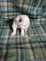 processed/05bf5c96-dcde-4bed-8180-ea80867f7f4b/listing/8d2f3429-991a-4b08-b538-9d636dc32fab/a25bf227-13e4-4020-87fc-62d96eccdfa9