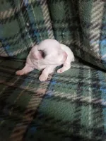 processed/05bf5c96-dcde-4bed-8180-ea80867f7f4b/listing/8d2f3429-991a-4b08-b538-9d636dc32fab/f912dbdb-2cb0-4efa-9393-0af4a92efe1a