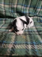 processed/05bf5c96-dcde-4bed-8180-ea80867f7f4b/listing/9982df33-9a93-474e-90a0-c90f3143da3c/a23b933d-329a-45d9-aa06-f778888efbd9