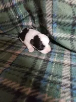 processed/05bf5c96-dcde-4bed-8180-ea80867f7f4b/listing/9982df33-9a93-474e-90a0-c90f3143da3c/ccf7c3f7-27ea-4668-914b-7c368a4d33fe