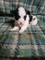 processed/05bf5c96-dcde-4bed-8180-ea80867f7f4b/listing/9982df33-9a93-474e-90a0-c90f3143da3c/ef065578-28cb-4df5-bb7f-067d33ffe55a