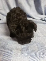 processed/05bf5c96-dcde-4bed-8180-ea80867f7f4b/listing/a9a04a70-c8e6-42e4-a97e-94fcfa8b63e7/176f78b1-6bc3-4651-bd38-ca4969ac7b13