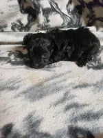 processed/05bf5c96-dcde-4bed-8180-ea80867f7f4b/listing/a9a04a70-c8e6-42e4-a97e-94fcfa8b63e7/74a0f2da-8857-4b09-8bb7-c009664dc52f