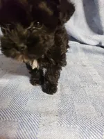 processed/05bf5c96-dcde-4bed-8180-ea80867f7f4b/listing/a9a04a70-c8e6-42e4-a97e-94fcfa8b63e7/b8aeed6b-5db8-43ec-9fb6-e5f5aaaf3be6