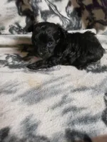 processed/05bf5c96-dcde-4bed-8180-ea80867f7f4b/listing/a9a04a70-c8e6-42e4-a97e-94fcfa8b63e7/d8fc46e8-dd7a-4df0-8ca6-ace7ddcd78df