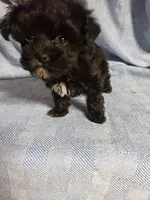 processed/05bf5c96-dcde-4bed-8180-ea80867f7f4b/listing/a9a04a70-c8e6-42e4-a97e-94fcfa8b63e7/f83edd3c-f204-4285-9d59-fbb1f9220ab6