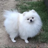 processed/05cda188-6019-4caf-8969-55bee00e574e/facility/1ca9d324-ad44-444c-8242-1cf4e37afb1f