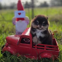 processed/05cda188-6019-4caf-8969-55bee00e574e/facility/39e8791d-c578-4328-9cfa-1e03379bb3c4