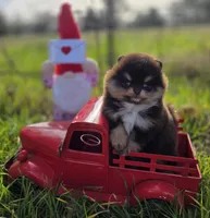 processed/05cda188-6019-4caf-8969-55bee00e574e/facility/39e8791d-c578-4328-9cfa-1e03379bb3c4