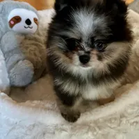 processed/05cda188-6019-4caf-8969-55bee00e574e/facility/a08bfdee-6ed4-425e-b8a3-4142a64a04be