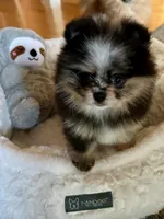 processed/05cda188-6019-4caf-8969-55bee00e574e/facility/a08bfdee-6ed4-425e-b8a3-4142a64a04be