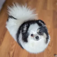 processed/05cda188-6019-4caf-8969-55bee00e574e/facility/c0ef8644-9fb2-46d0-ac95-5d5f476ceb84