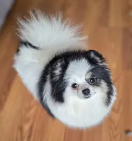 processed/05cda188-6019-4caf-8969-55bee00e574e/facility/c0ef8644-9fb2-46d0-ac95-5d5f476ceb84