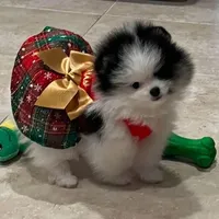 processed/05cda188-6019-4caf-8969-55bee00e574e/facility/d3121f3d-7dcb-45a6-91d9-6a89f0f2834f