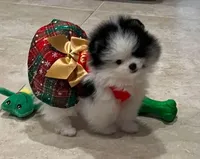 processed/05cda188-6019-4caf-8969-55bee00e574e/facility/d3121f3d-7dcb-45a6-91d9-6a89f0f2834f